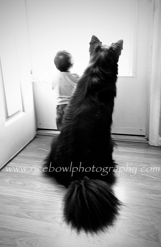 Clear Lake Child Photographer