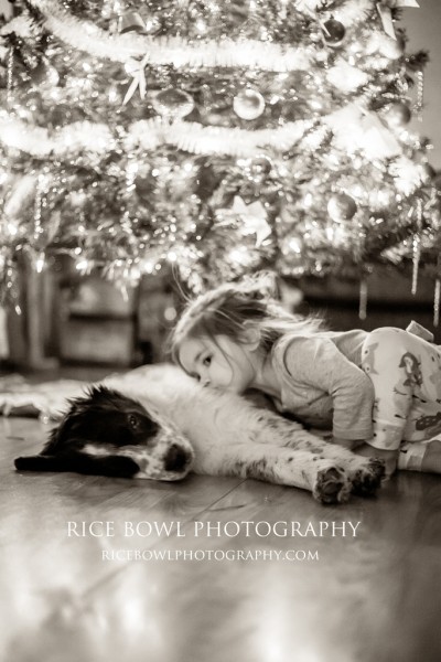 Colorado Pet Photographer Hope Defined Mountain Pet Rescue Foster Adopt