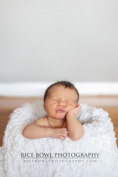 Littleton Newborn Photographer