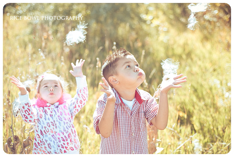 Southlands Mall child  family newborn baby portrait photographer fall session