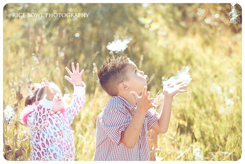 Highlands Ranch child  family newborn baby portrait photographer fall session