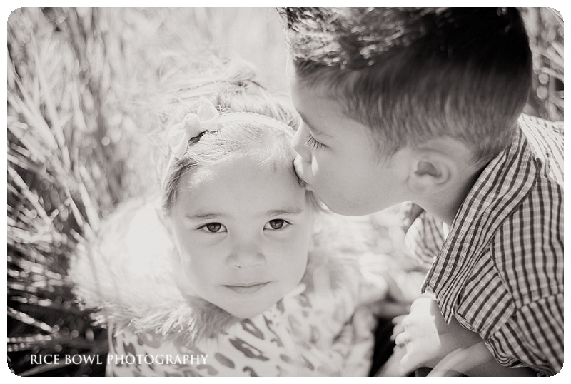 Centennial child  family newborn baby portrait photographer fall session