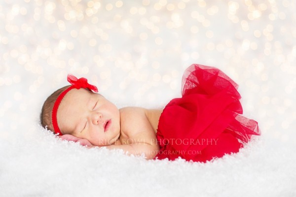 Colorado Christmas Newborn Portrait Photographer