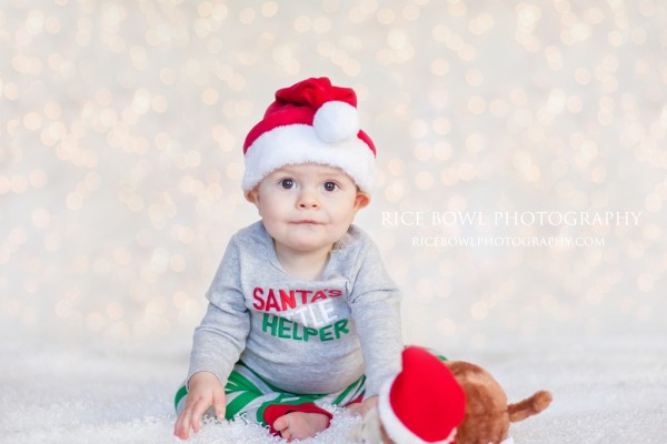 Christmas Portrait Session